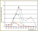 Влияние излучения газоразрядной плазмы на модификацию белков эритроцитов