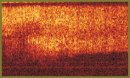 Конфокальная микроскопия и оптическая когерентная томография  в оценке анатомо-функционального состояния роговичной раны  (in vivo) после факоэмульсификации катаракты