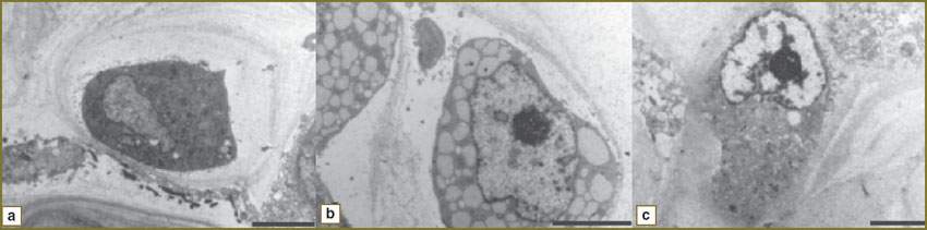 ivanova-fig-3.jpg