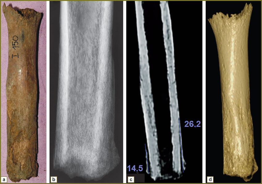 makarova-fig-4.jpg