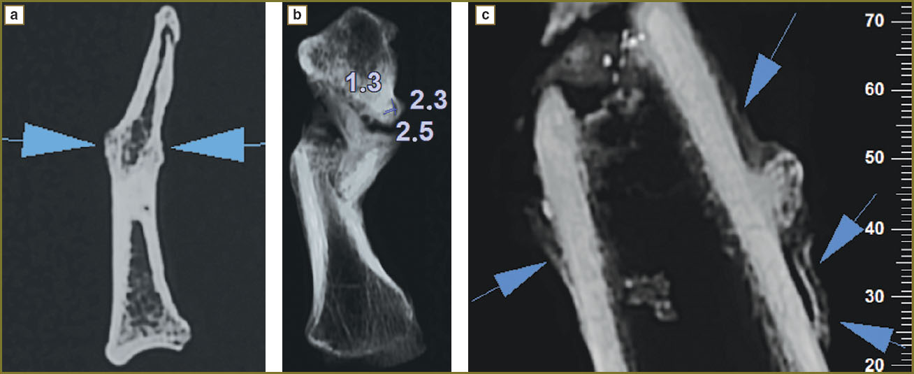 makarova-fig-8.jpg