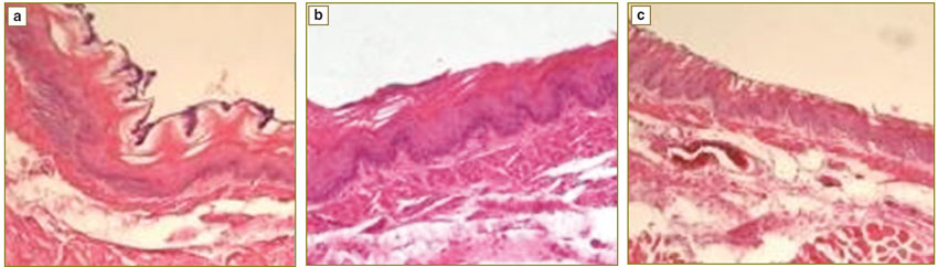 rykevich-fig-2.jpg