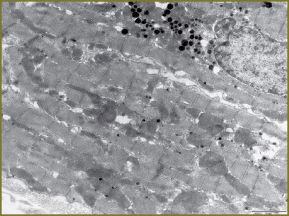 bugrova-fig-2.jpg