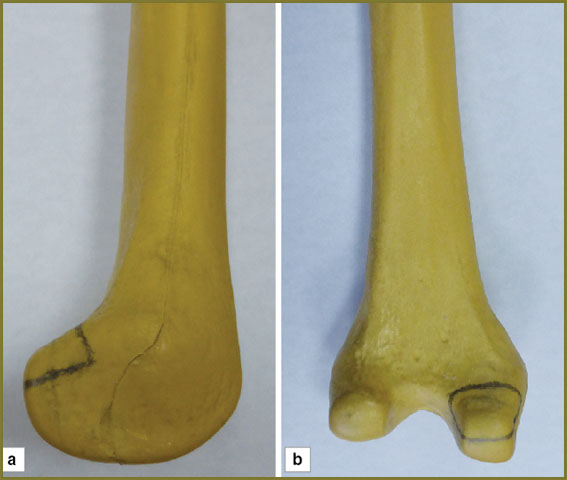 malyshev-fig-3.jpg