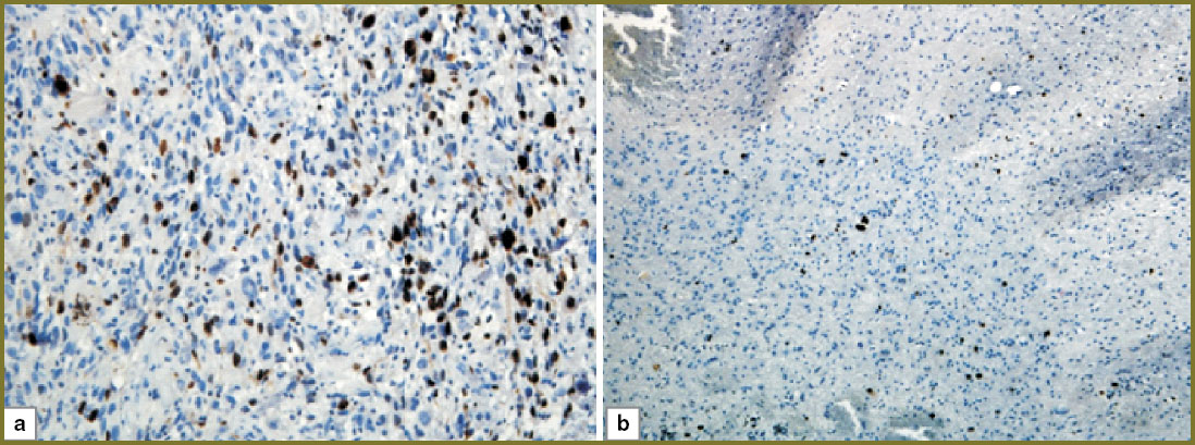 medyanik-fig-2.jpg