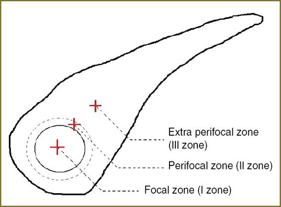 morozova-fig-1.jpg