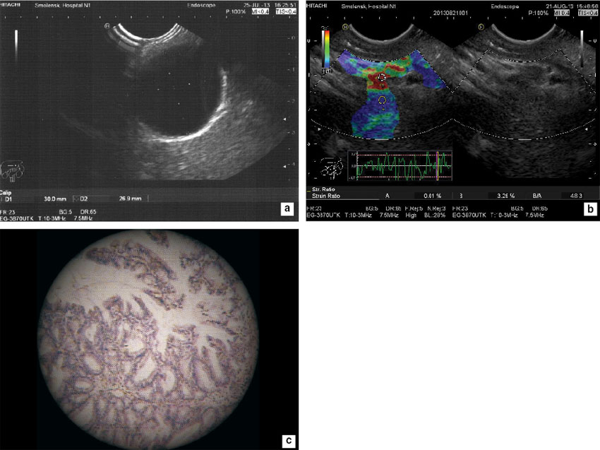 morozova-fig-3.jpg