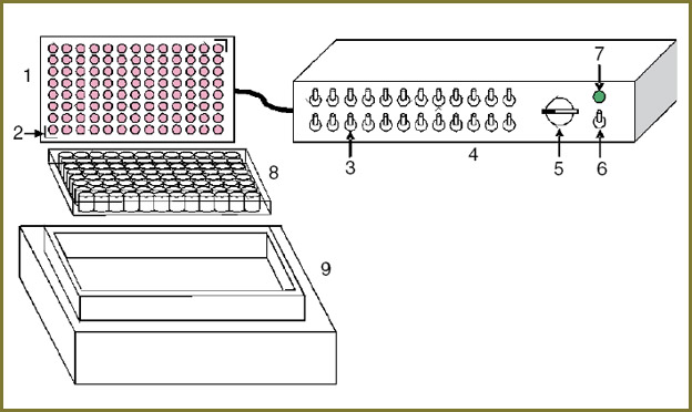 shilyagina-fig-1.jpg