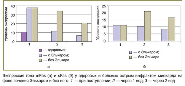 belousov-ris.jpg