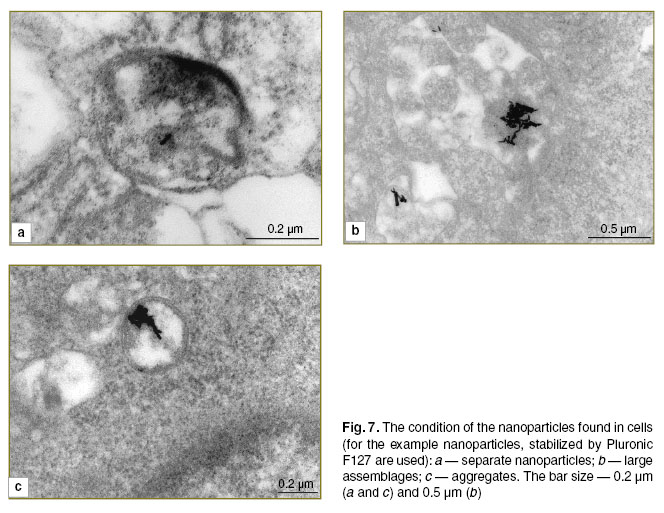 elagin-fig-7.jpg