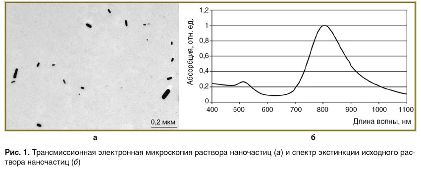 elagin-ris-1.jpg