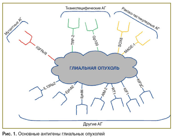 yashin-ris-1.jpg