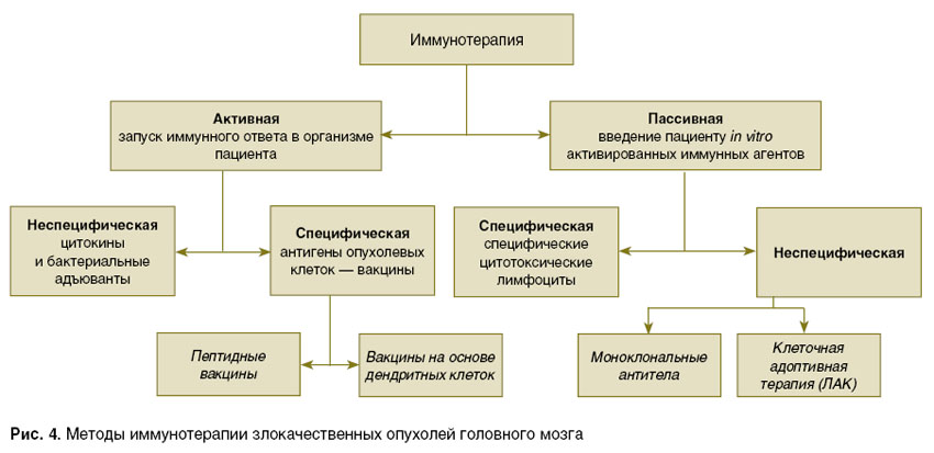 yashin-ris-4.jpg
