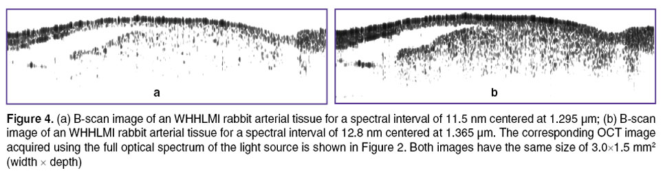 fluerearu-fig-4.jpg