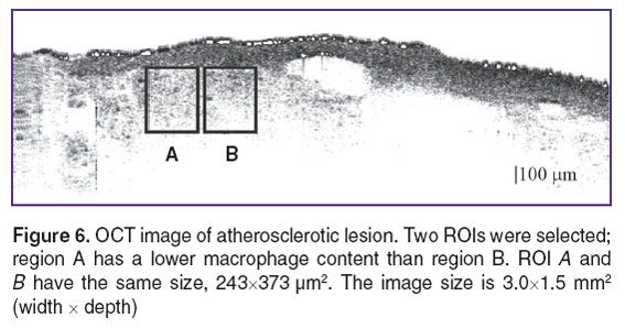fluerearu-fig-6.jpg