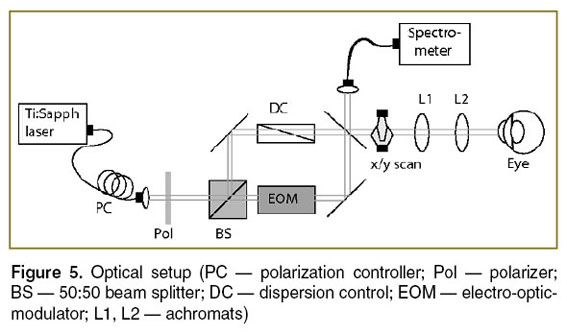 schmoll-figure-05.jpg