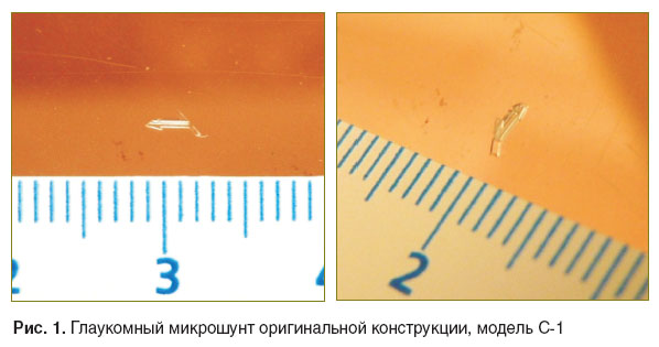 maslennikova-ris-1.jpg