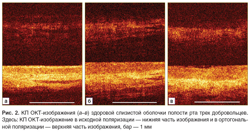 kalganova-ris-2.jpg