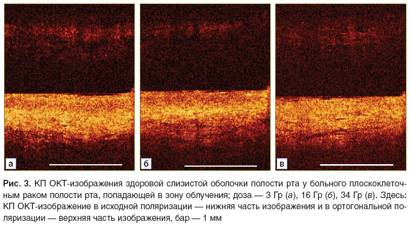 kalganova-ris-3.jpg