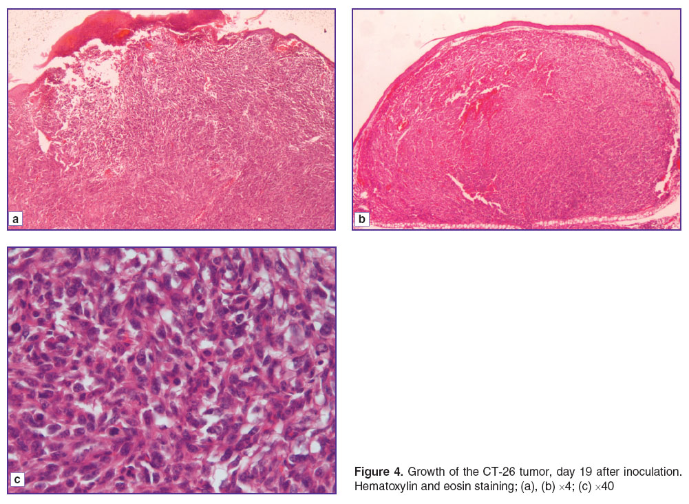 kuznetsov-fig-4.jpg