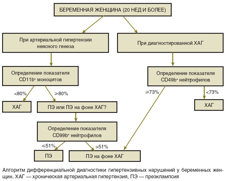panova-ris.jpg
