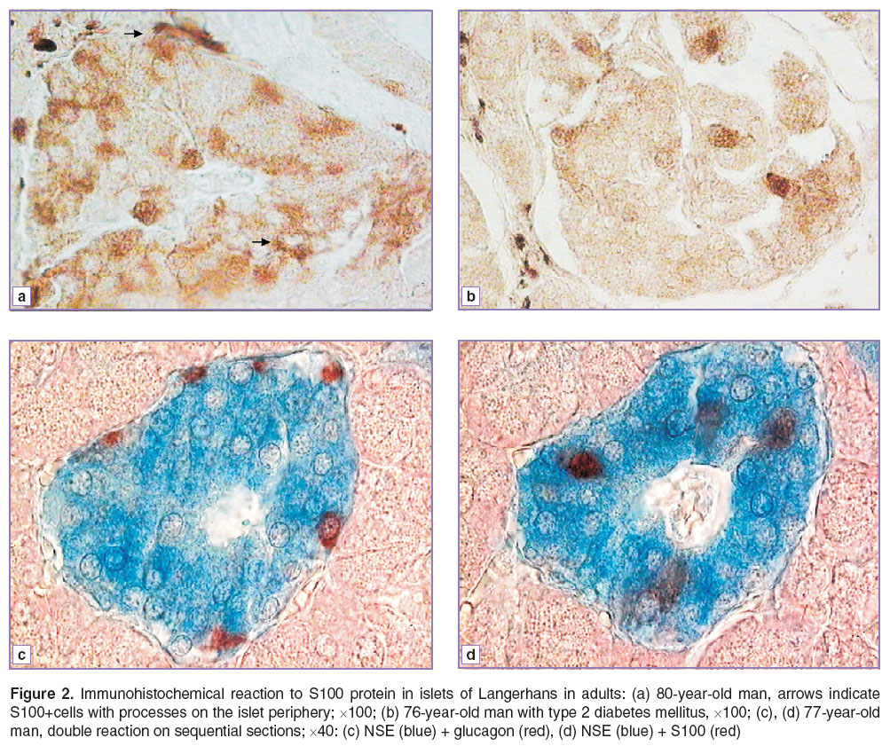 proschina-fig-2.jpg