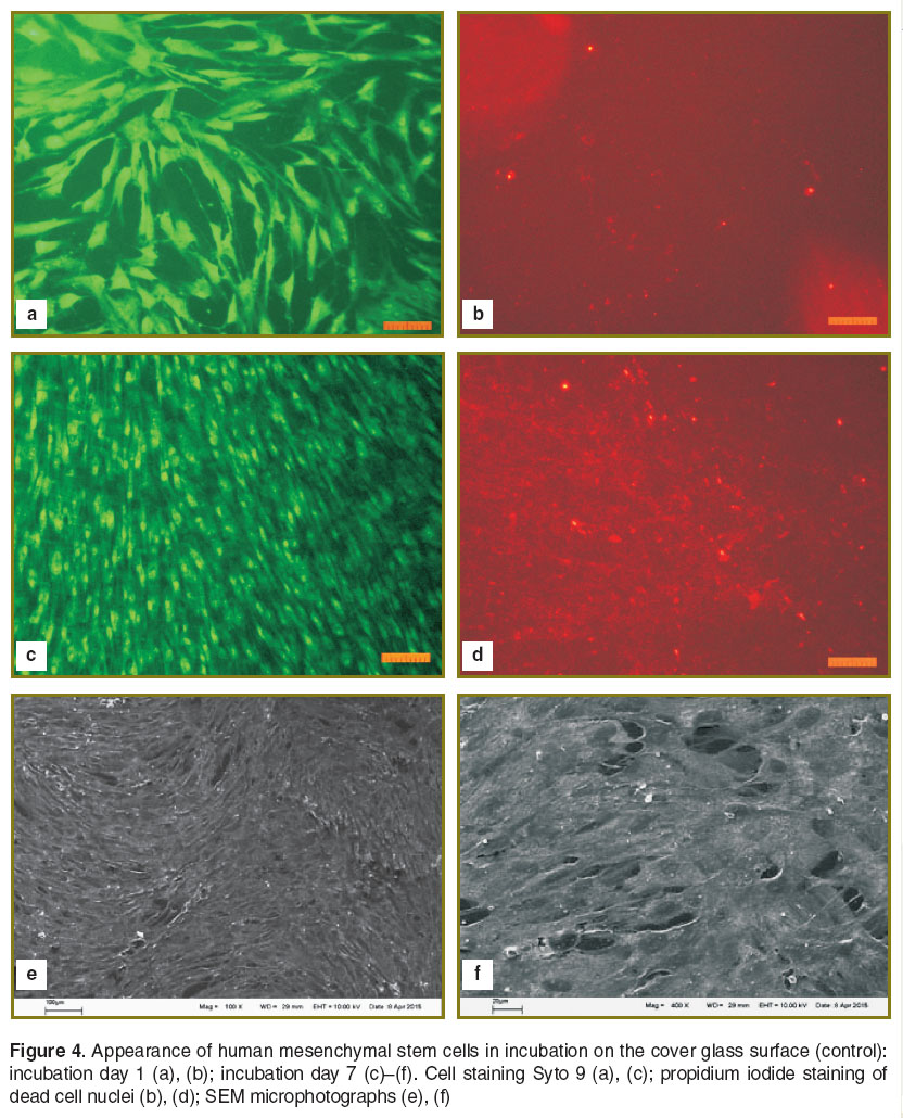 timashev-fig-4.jpg