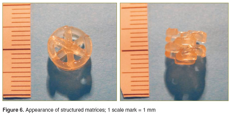 timashev-fig-6.jpg