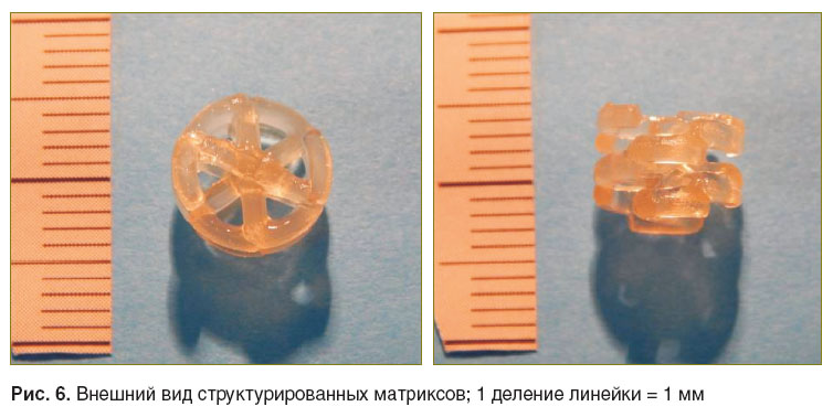 timashev-ris-6.jpg