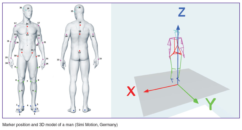 borzikov-fig.jpg