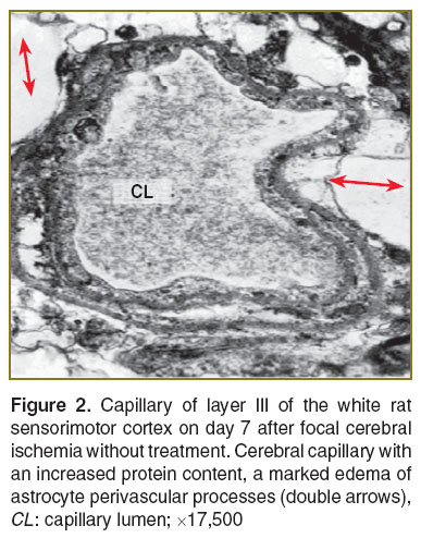 lychko-fig-2.jpg