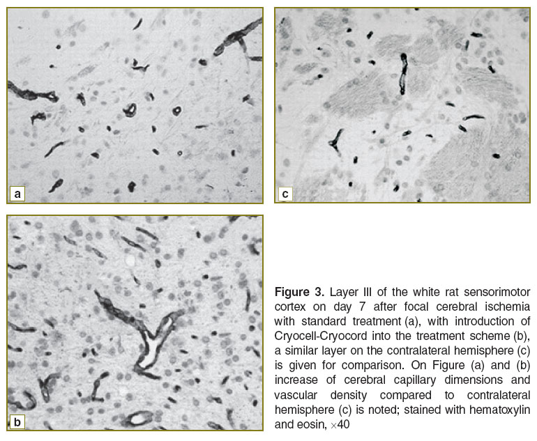 lychko-fig-3.jpg