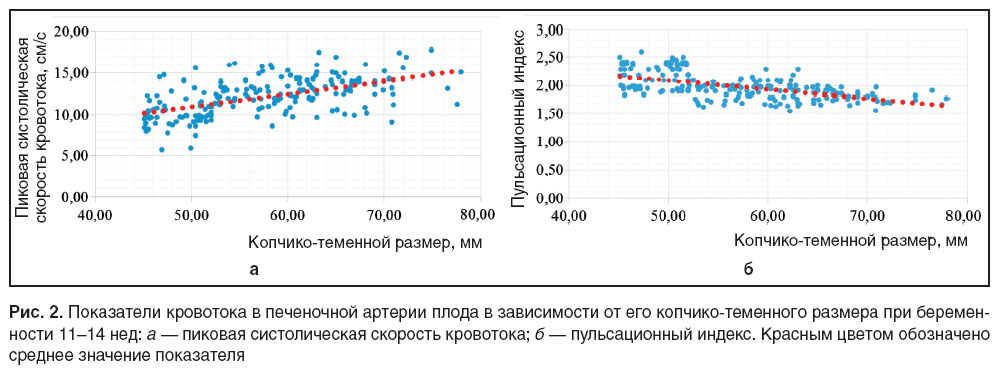 malova-ris-2.jpg