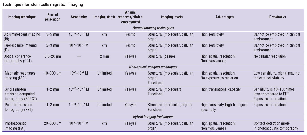 meleshina-table.jpg