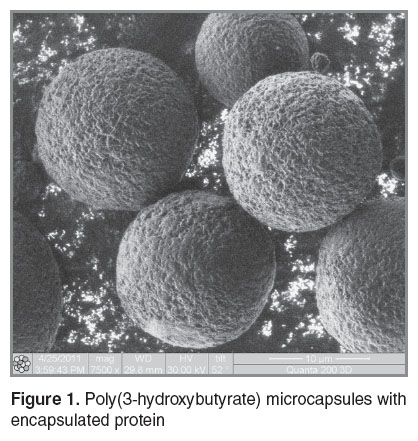 zernov-fig-1.jpg
