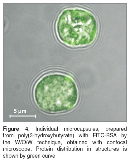 zernov-fig-4.jpg