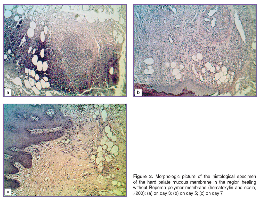 ryabova-fig-2.jpg