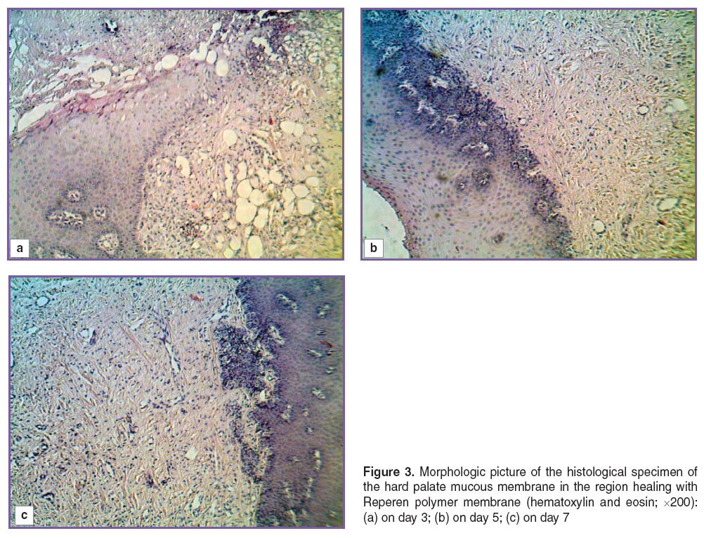 ryabova-fig-3.jpg