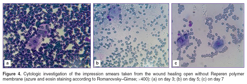 ryabova-fig-4.jpg