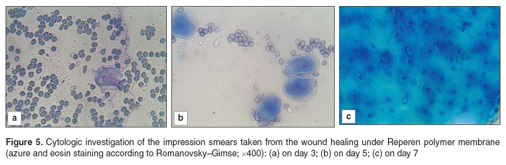 ryabova-fig-5.jpg