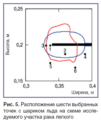 kotova-ris-5.jpg