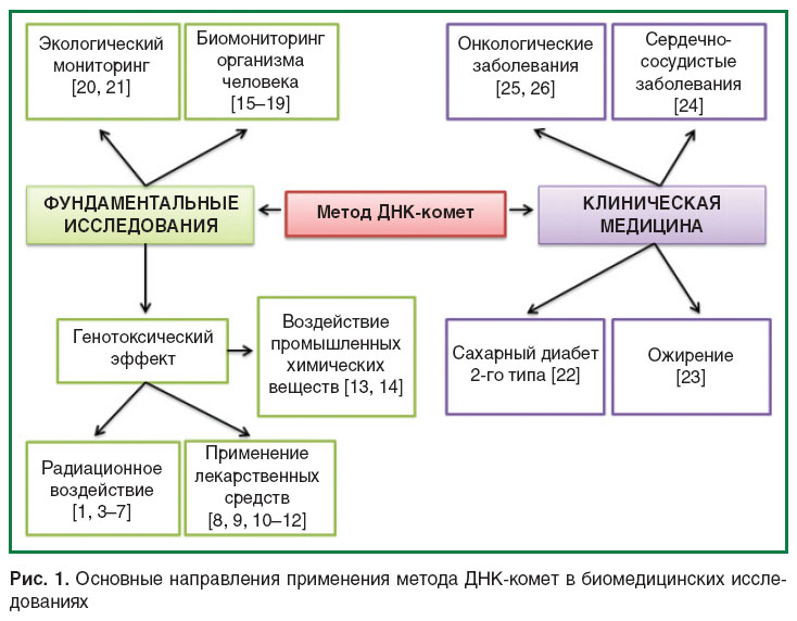 shcherbatyuk-ris-1.jpg