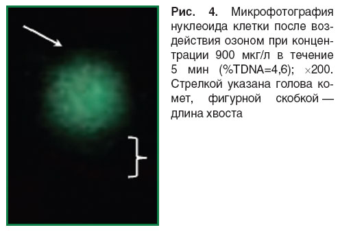 shcherbatyuk-ris-4.jpg