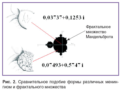 sheludyakov-ris-2.jpg