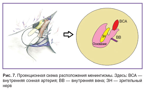 sheludyakov-ris-7.jpg