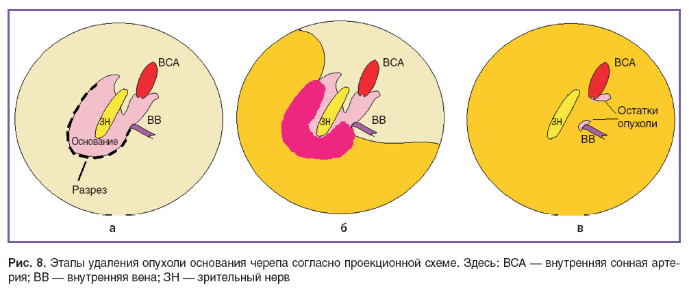 sheludyakov-ris-8.jpg