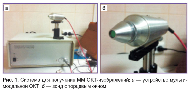 yashin-ris-1.jpg