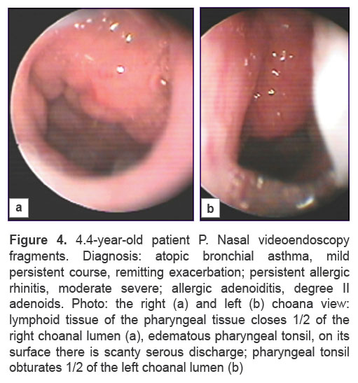 eliseeva-fig-4.jpg
