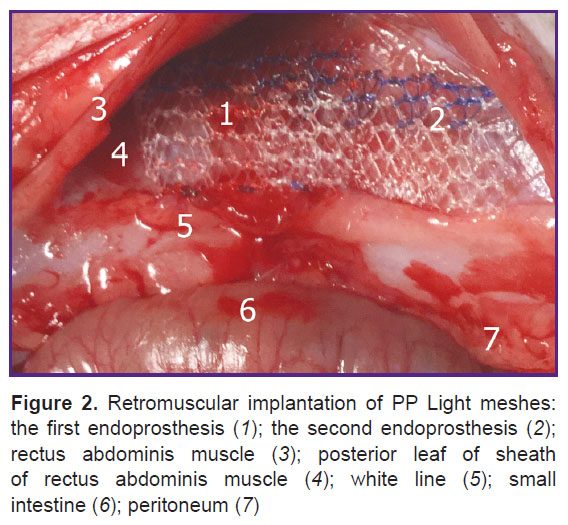 parshikov-fig-2.jpg