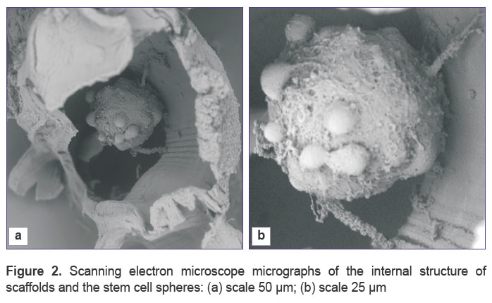 balyabin-fig-2.jpg